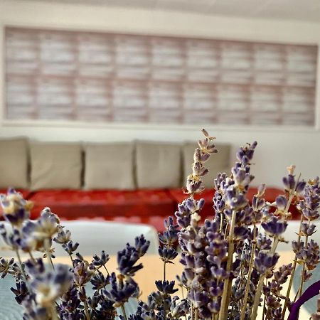 Grinda House - City Center Park And Stay Braşov Buitenkant foto