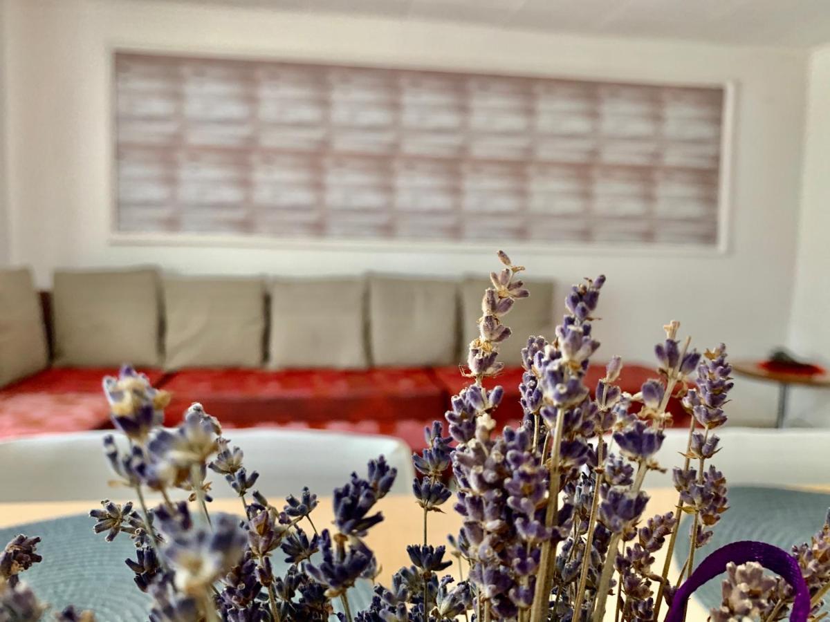 Grinda House - City Center Park And Stay Braşov Buitenkant foto